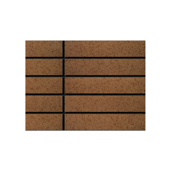 Облицовочный клинкерный кирпич, MFN Group FN22, 250х65х25 мм, Marmo